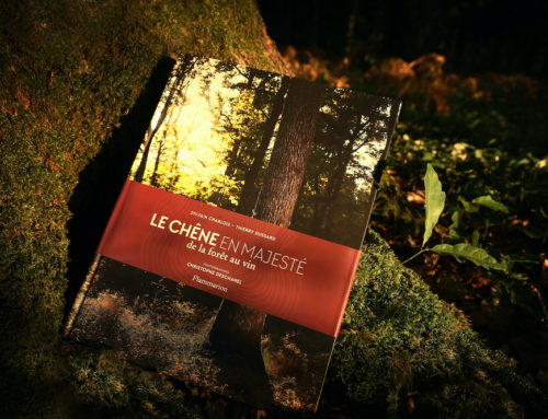 Bertranges Forest